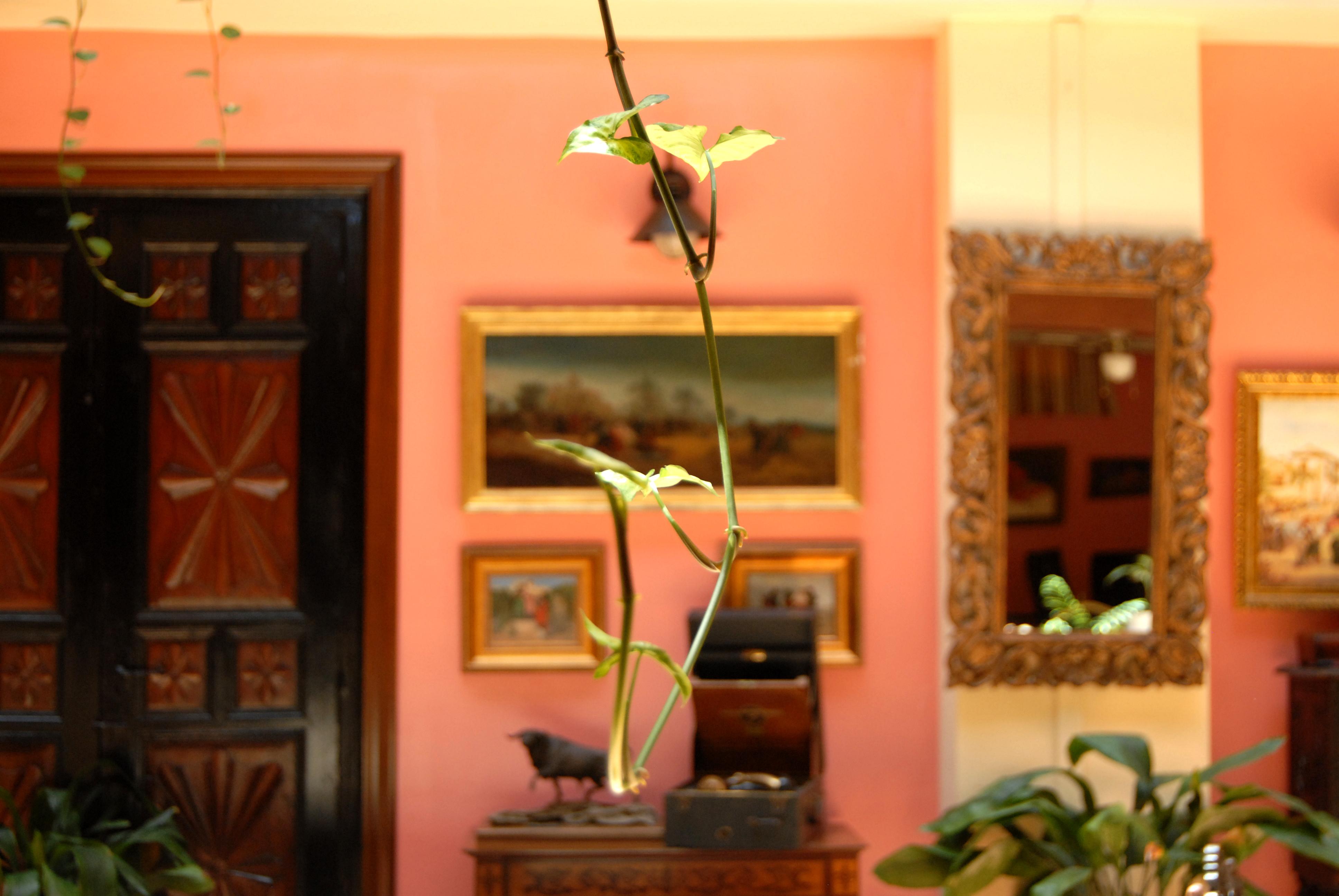 Hotel Pinomar 엘푸에르토데산타마리아 외부 사진
