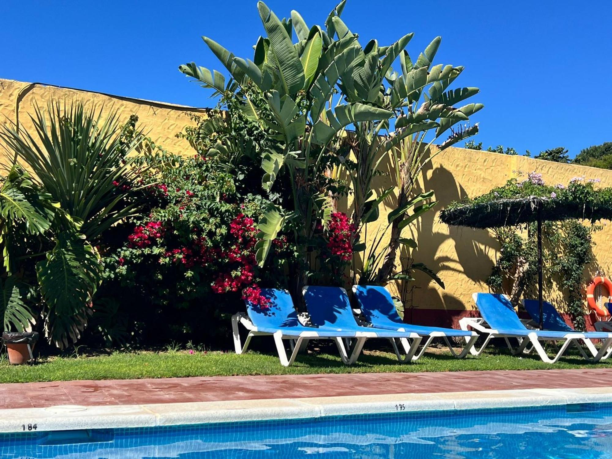 Hotel Pinomar 엘푸에르토데산타마리아 외부 사진